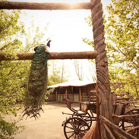 Bamboo Lodge Groningen Kültér fotó