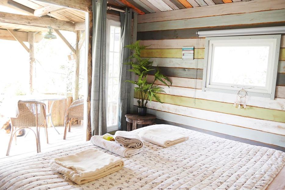 Bamboo Lodge Groningen Kültér fotó